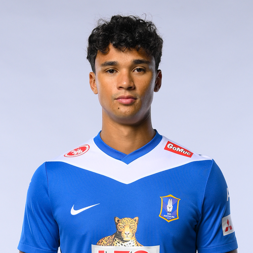 IKHSAN FANDI AHMAD